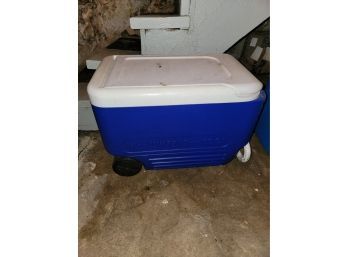 Blue Igloo Cooler - Basement