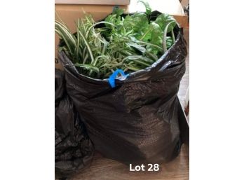 Bag Full Of Faux Greenery (lot 28)  - (living Room)