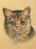 Vintage PH Schor Cat Print