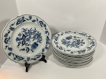 (10) Blue Danube Porcelain Plates - 10 1/4'