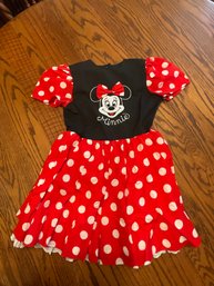 Minnie Mouse Dress / Costume ( 6X )