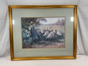 Sheep Herding -  Litho / Print