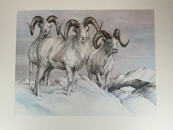 Doug Lindstrand Pencil Art  - 'Goats' Signed & Numbered 89/100