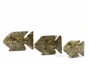 Vintage Natural Fossils Stone Fish Sculptures