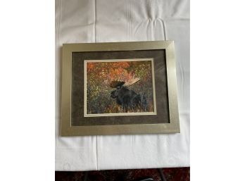 Autumn Moose Framed Artwork