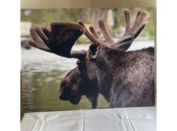 Large Moose Wall Hanging Print