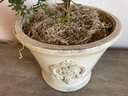 Glazed Ceramic Pot With Rosemary Topiary