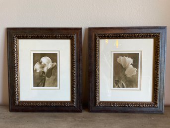 Pair Of Sepia Toned Botanical Photo Prints