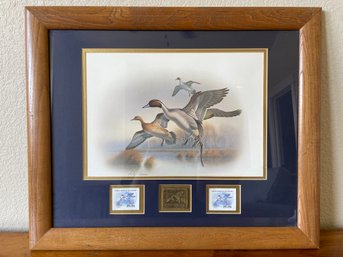 North American Waterfowl Limited Edition Print