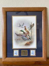 North American Waterfowl Limited Edition Print