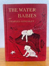 'the Water Babies'