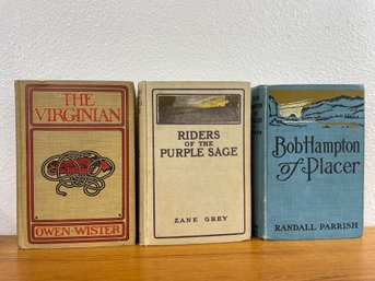 Lot Of 3 Western Novels