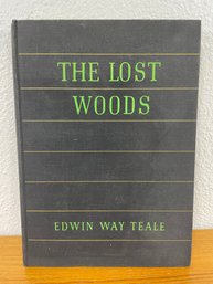 'The Lost Woods'
