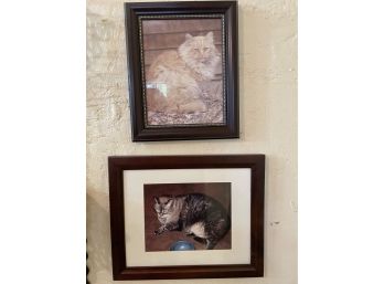 Lot Of 2 Framed Cat Photos