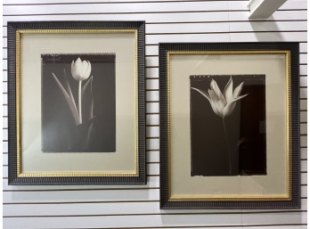 Pair Of Large Framed Tulip Photos From Z Gallerie