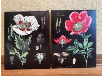 Pair Of Botanical Prints On Canvas