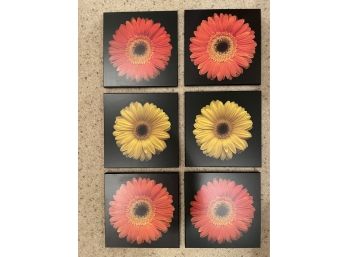 Set  Of 6 Flower Wall Plaques