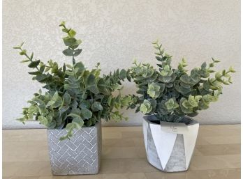 2 Artificial Eucalyptus In Pots