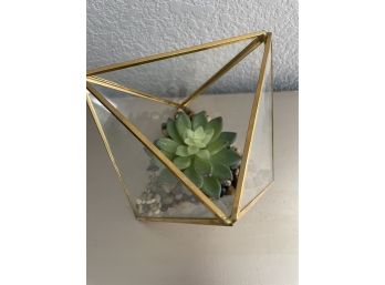 Artificial Succulent In Glass Container