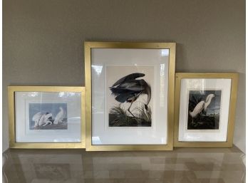 Set Of 3 Framed Audubon Prints