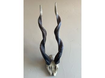 Cast Resin Kudu Antelope Antlers