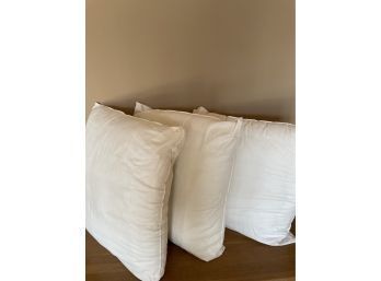Lot Of 3 European Pillows