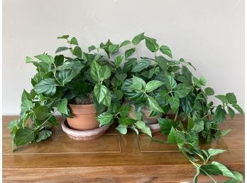 2 Artificial Plants In Terracotta Pots