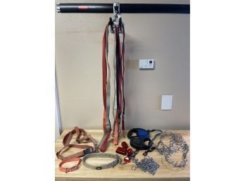 Lot Of Dog Leashes, Collars & Night Lights