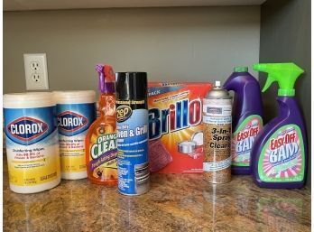 Lot Of Kitchen Cleaning Products