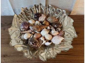 Silver Glass Bowl & Seashells