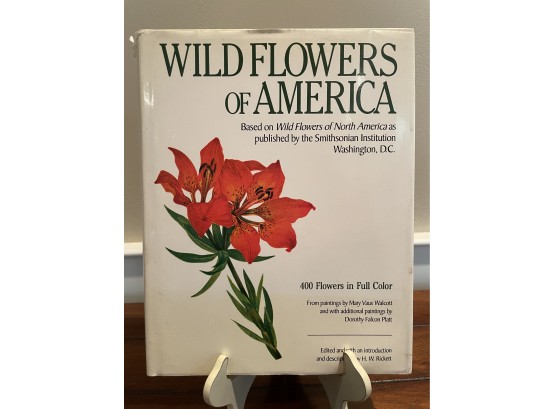 Wild Flowers Of America