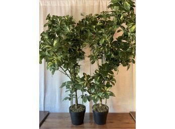 Pair Of Artificial Plants