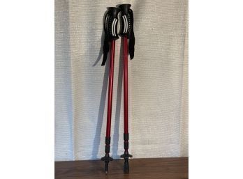 Pair Of Outdoor Hiking Poles