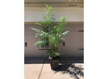 Large Artificial Palm Tree