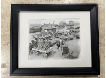 Early Fort Collins Sugar Beet Harvest Photograph