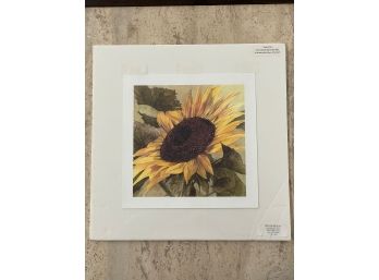 Fine Art Sunflower Print