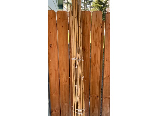 (Bundle) Bamboo Plant Supports