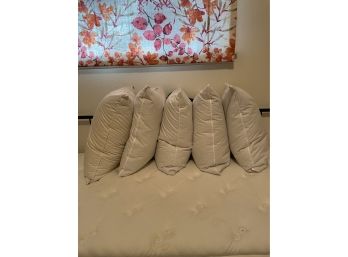 Lot Of 5 Down Pillows