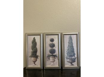 Lot Of 3 Framed Topiary Prints