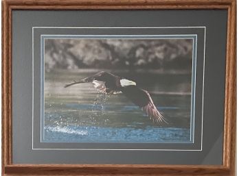 Photograph Of Bald Eagle Over Water