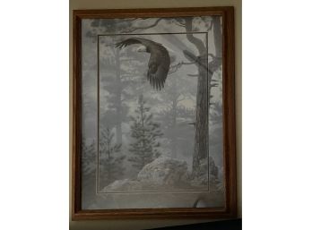 Framed Print Of Eagle In Flight
