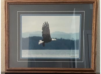 Photograph Of Eagle In Flight