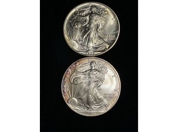 Two Silver Eagles (1988 & 2004)