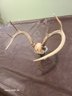 N8ce Deer.Antlers For.Hanging