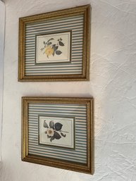 Vintage Botanical Prints In Gold Wood Frames
