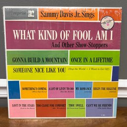 SAMMY DAVIS JR SINGS - WHAT KIND OF FOOL AM I - 1961 Reprise Records Vinyl Album (R-6051)