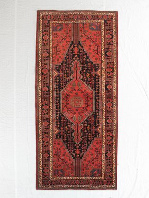 Hand Knotted  Toyserkan Rug 5.4 X 11.9 Ft.  #10290