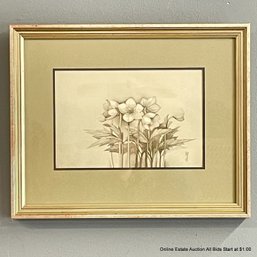 Rosalyn Gale Powell 1965 Hellebores Graphite On Paper Drawing