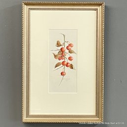 Rosalyn Gale Powell 2002 Rosehips Watercolor On Paper Painting