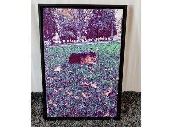 Framed Print On Canvas Of A Dog In Park